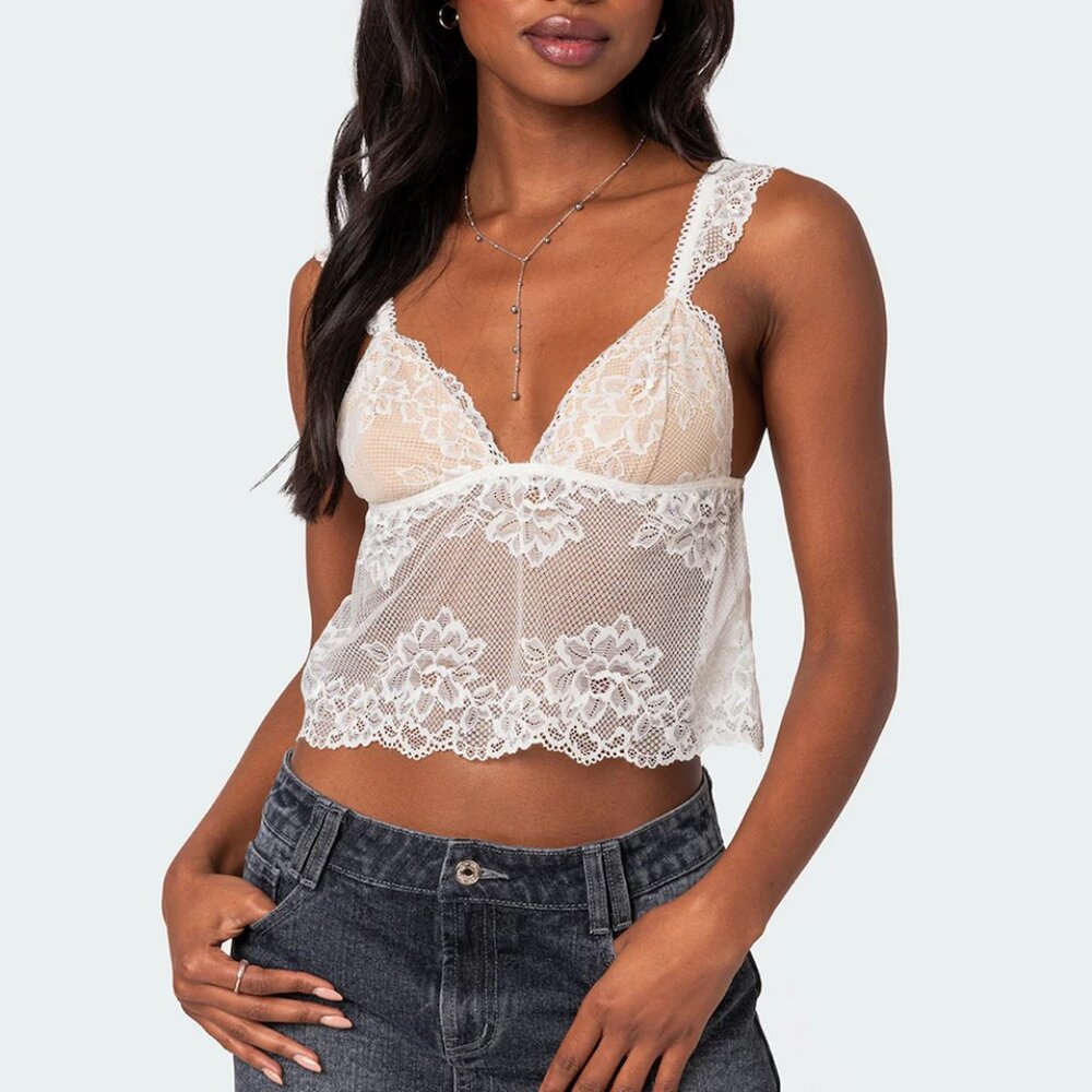 Edikted Jasmine Sheer Lace Top